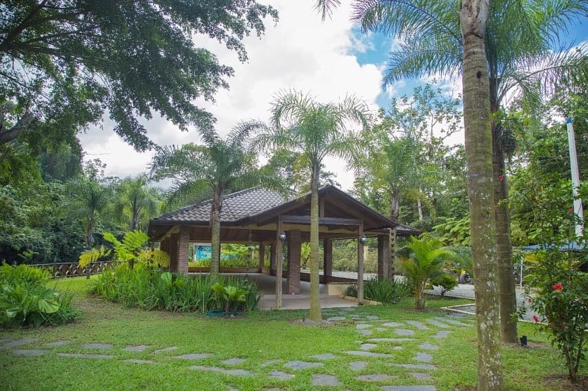 Camino en la propiedad