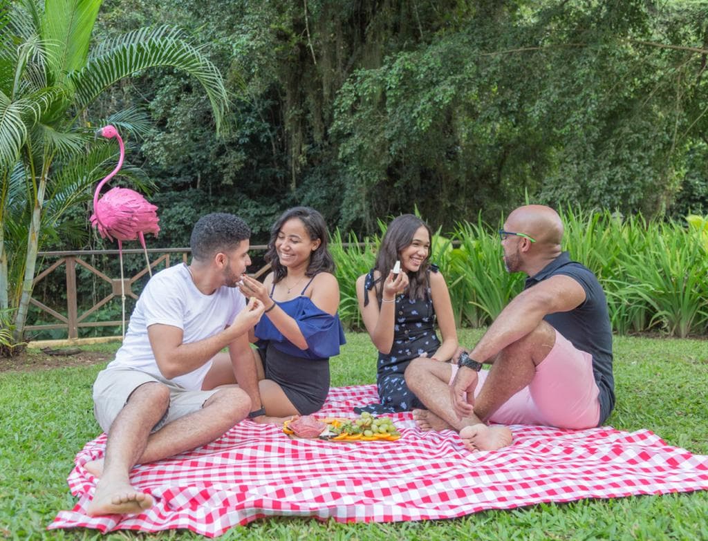 Picnic en grupo en los jardines