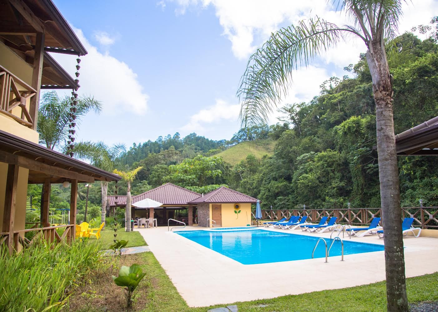 Piscina con tumbonas y vista panoramica
