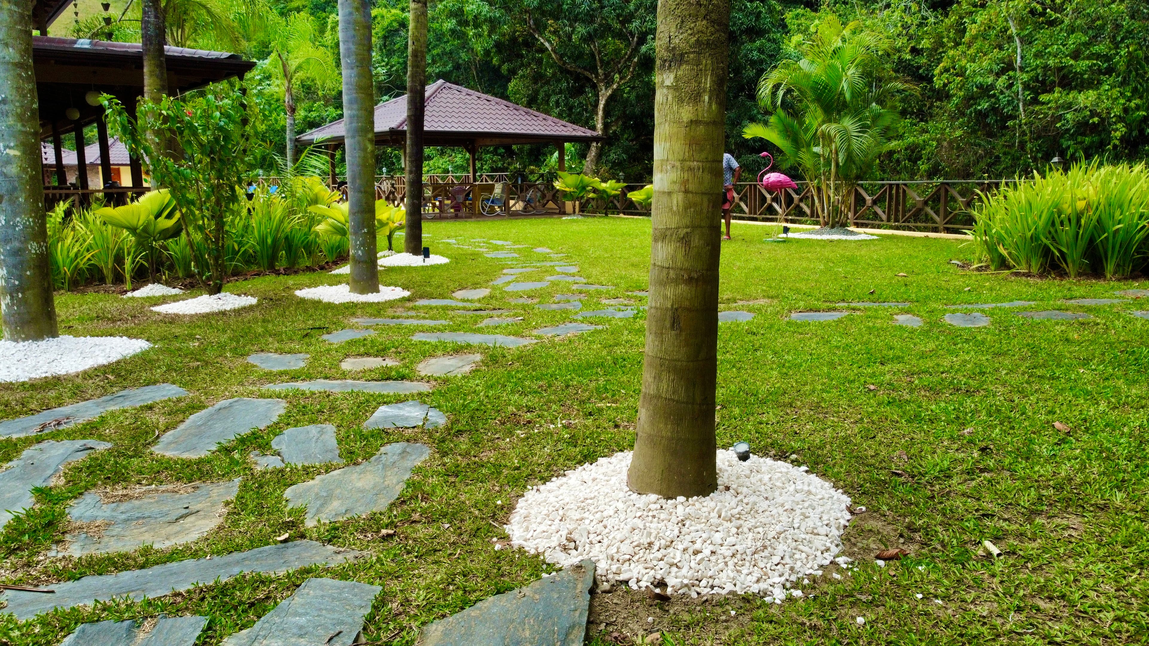Sendero de piedra en el jardin tropical